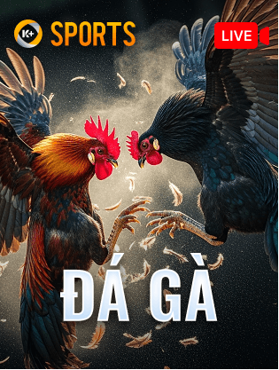 MAN88 Đá gà